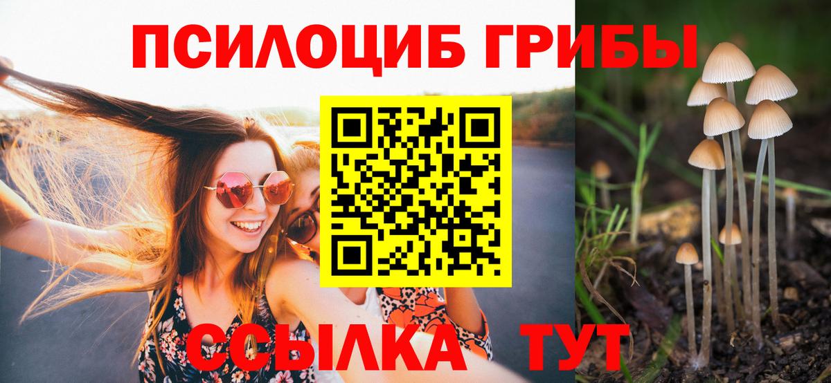 Псилоцибиновые грибы мухоморы Пенза