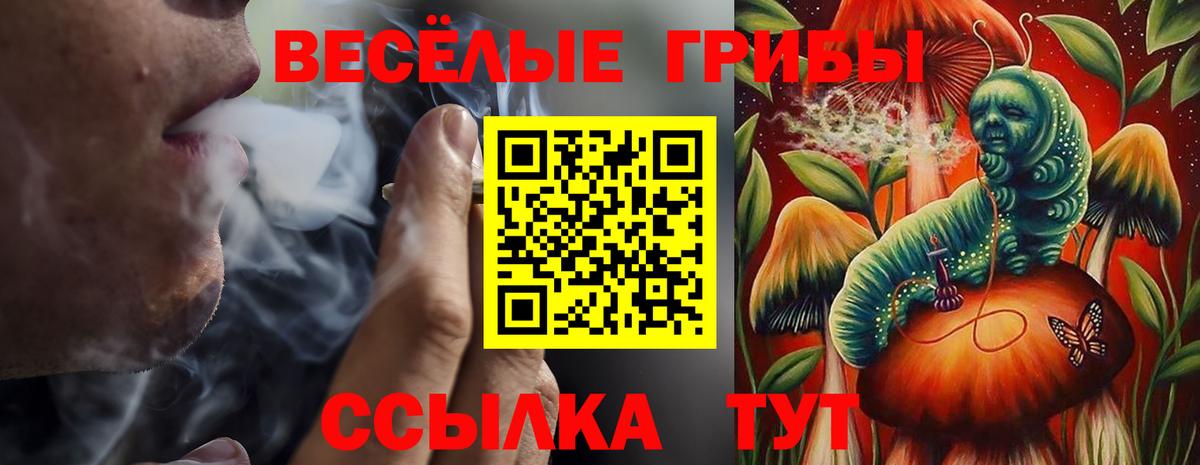Галлюциногенные грибы Cubensis  что такое наркотик  Псилоцибиновые грибы Psilocybine cubensis  Пенза  Вход с VPN 