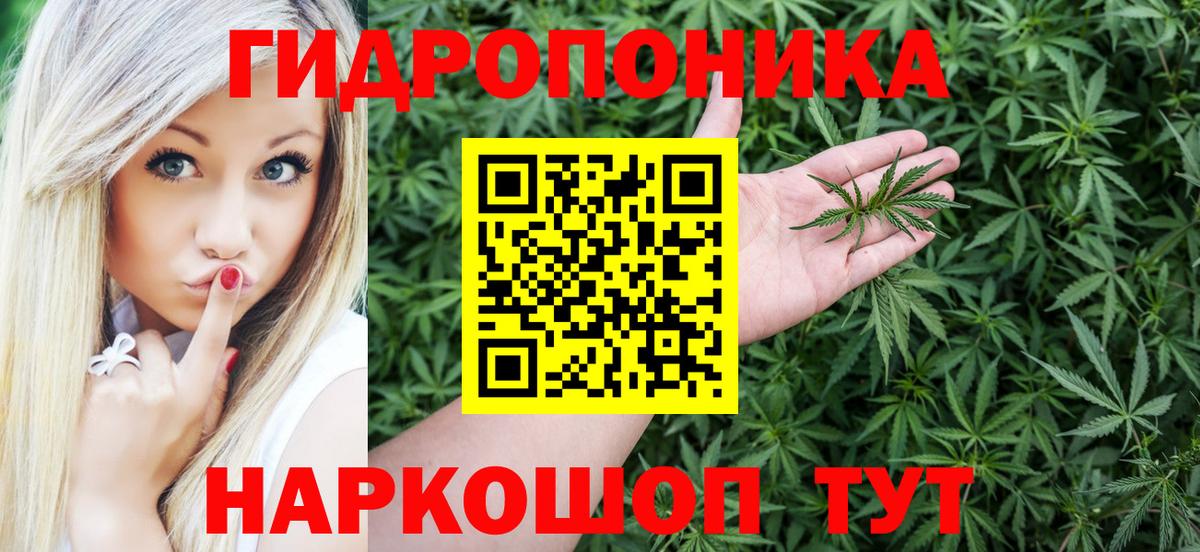 Марихуана гибрид Пенза